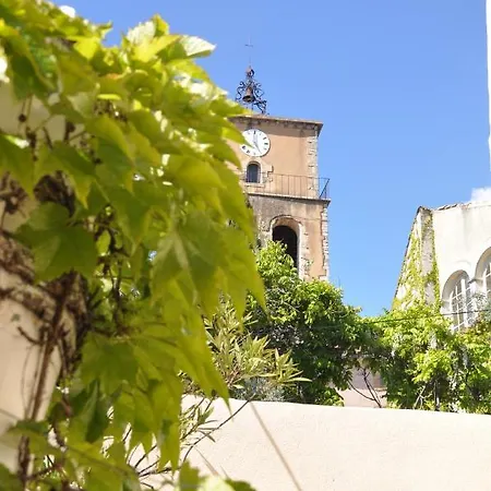 La Vigne *